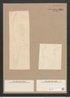 Rhoicosigma robustum Grun. (de-Toni-Nr.: Genus 15, Species 1129) Zeichnungen Sammlung Grunow Nr. 2221 (NHMW-BOT-W0369308)